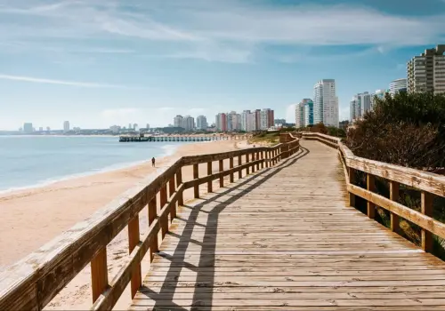 Médicos en Punta del Este